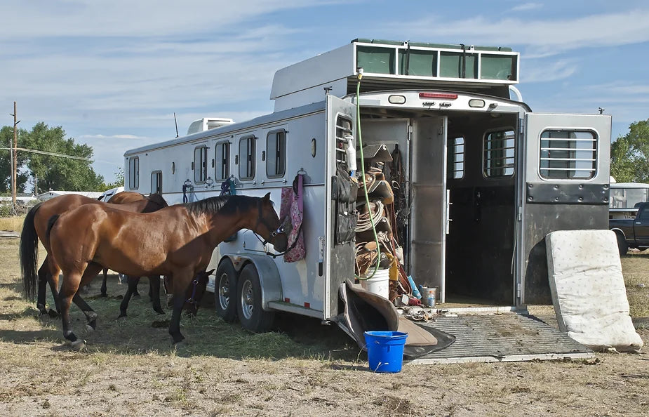 Home Sweet Horse Trailer