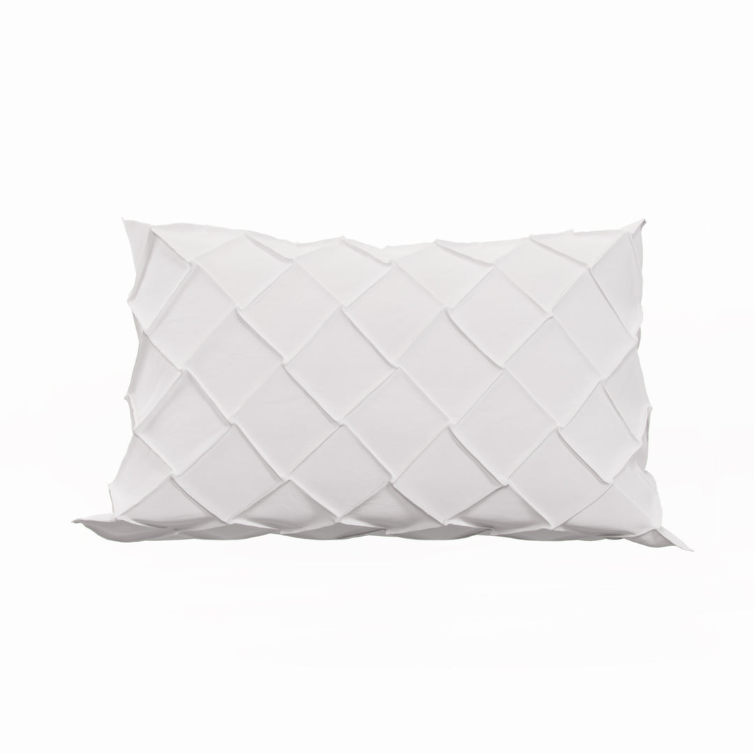 2 Pinch Pillow Shams