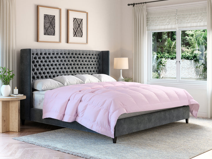 #color_pink-flamingo